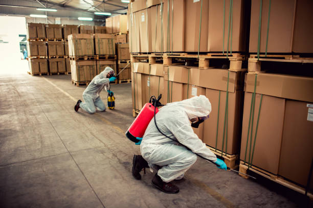 Best Flea Control Services  in Jamestown, TN
