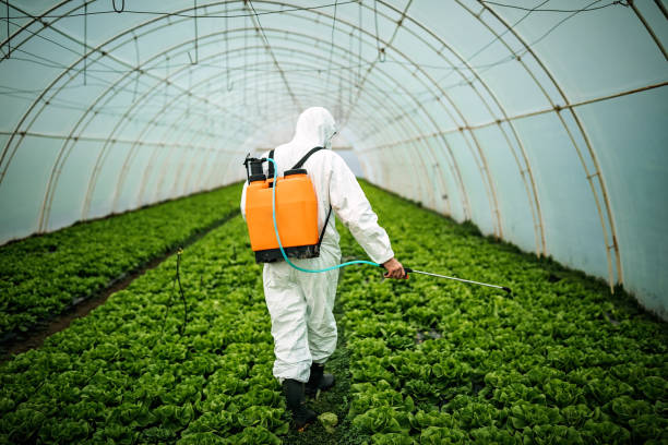 Best Emergency Pest Control  in Jamestown, TN