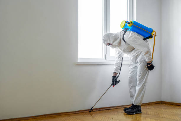 Best Rat Extermination Near Me  in Jamestown, TN