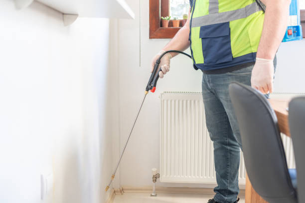 Best Ant Control Services  in Jamestown, TN