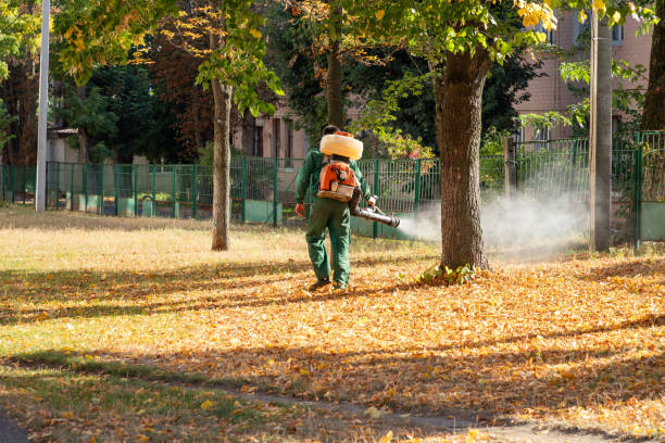 Best Spider Control Near Me  in Jamestown, TN