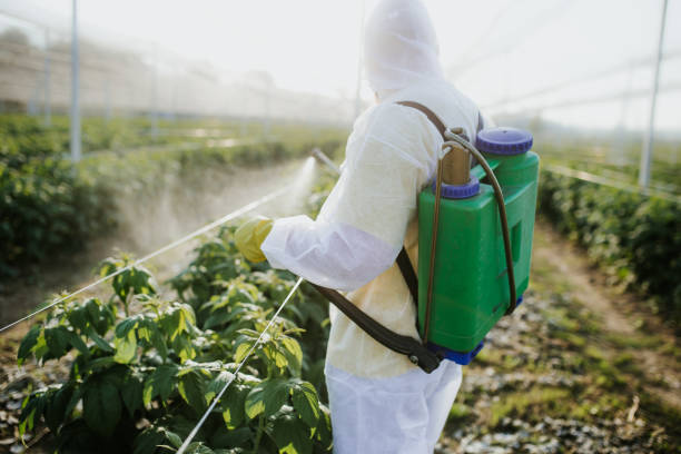Best Bed Bug Extermination  in Jamestown, TN
